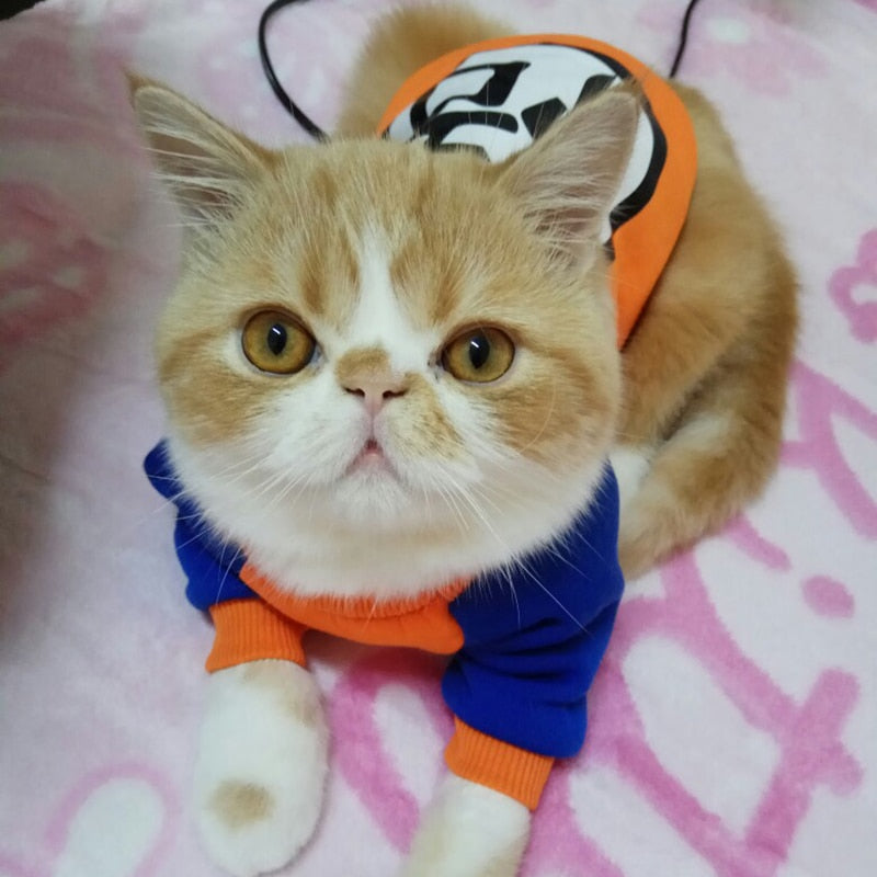 Cartoon Pet Sweater for Cats or Dogs