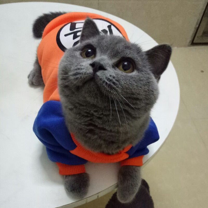 Cartoon Pet Sweater for Cats or Dogs