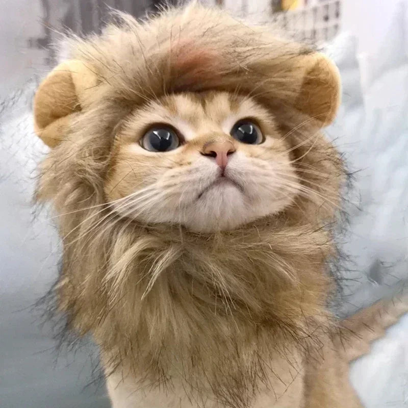 Pet Costume Lion Mane Wig for Cats and Dogs