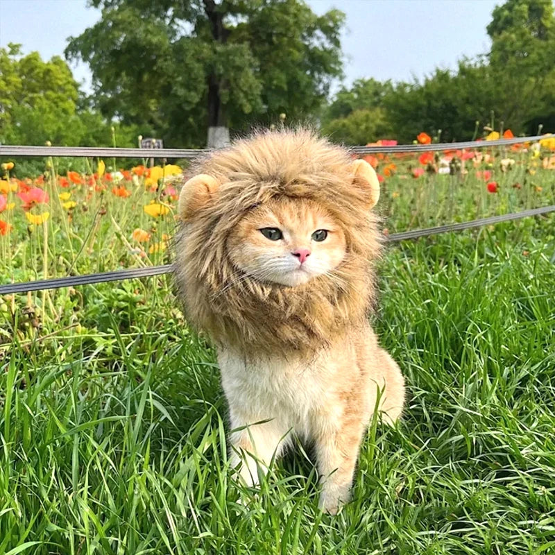 Pet Costume Lion Mane Wig for Cats and Dogs