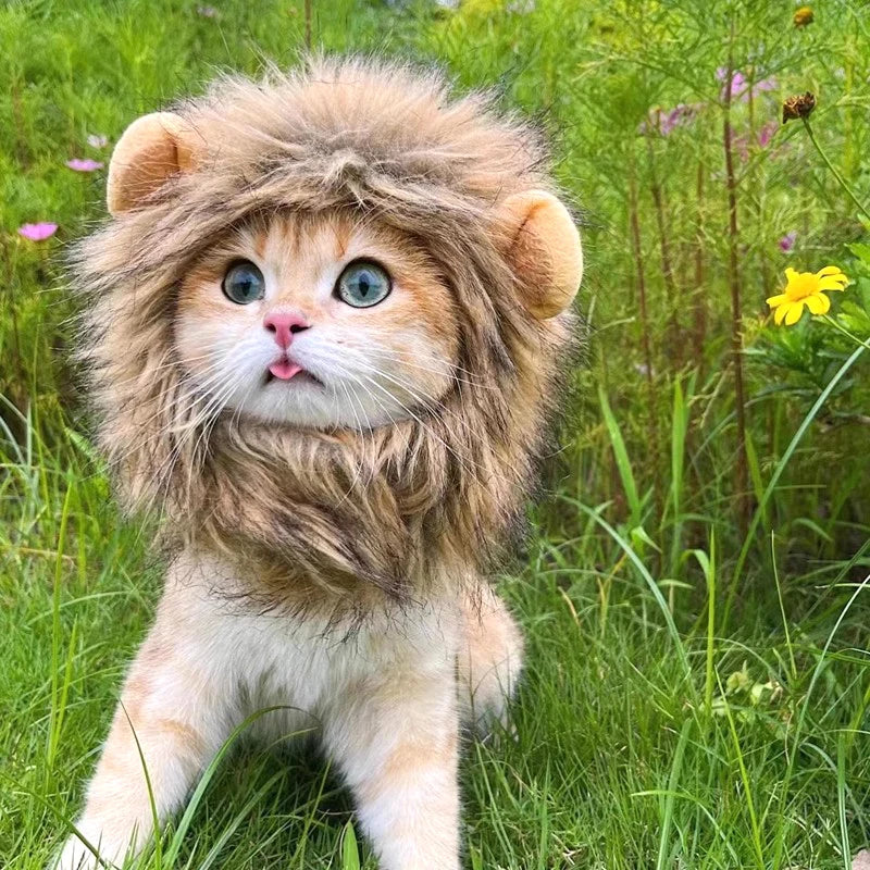 Pet Costume Lion Mane Wig for Cats and Dogs