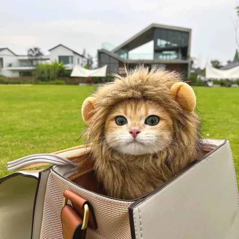 Pet Costume Lion Mane Wig for Cats and Dogs
