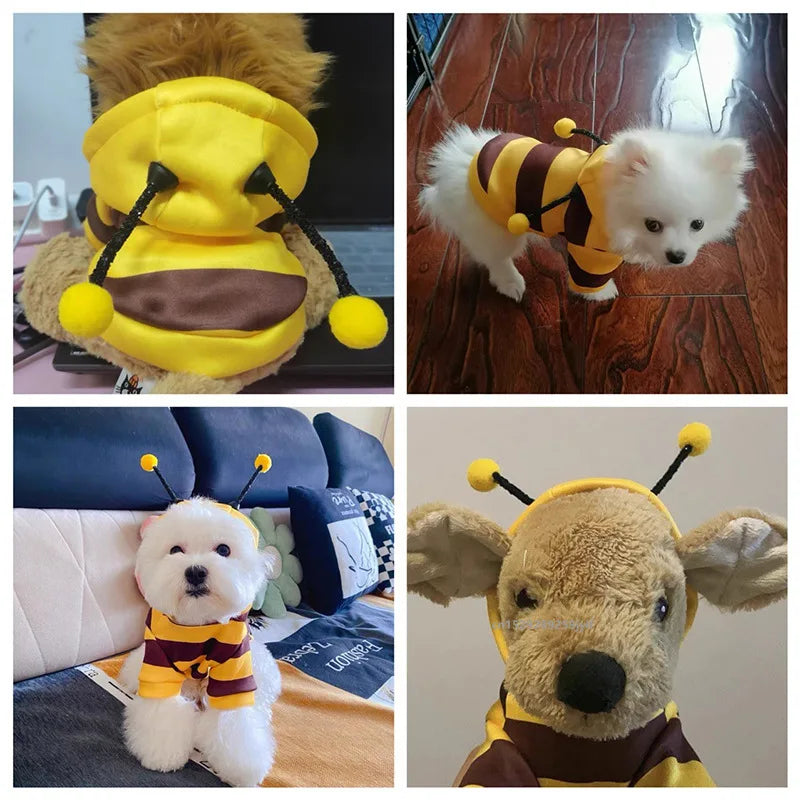 Bee Pet Cosplay Hoodie for Small and Medium Dogs & Cats