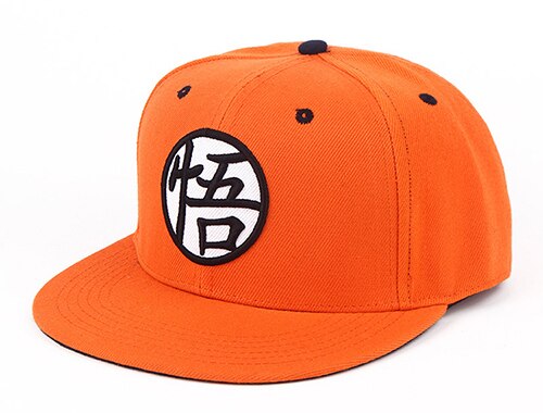 Dragon Warrior Training Snapback Hat/Cap