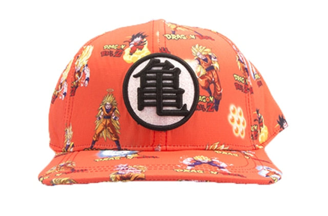 Dragon Warrior Training Snapback Hat/Cap