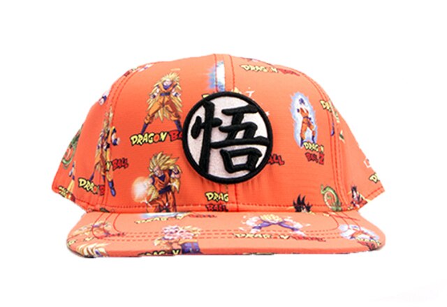 Dragon Warrior Training Snapback Hat/Cap